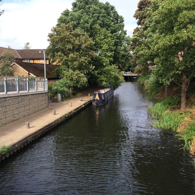canal in Woking
