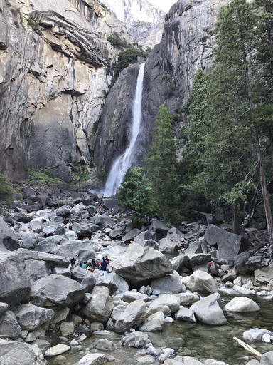 20190810121646-29e89e22.jpg