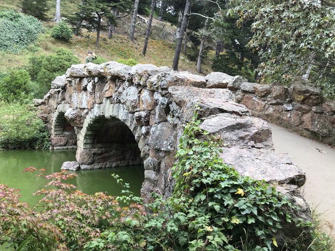 20190810122139-cdd6bb99.jpg
