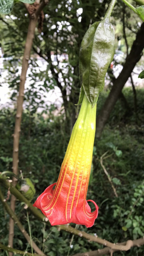 20190810122141-3e02c72a.jpg