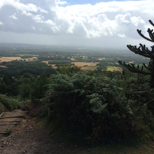 view from Leith Hill