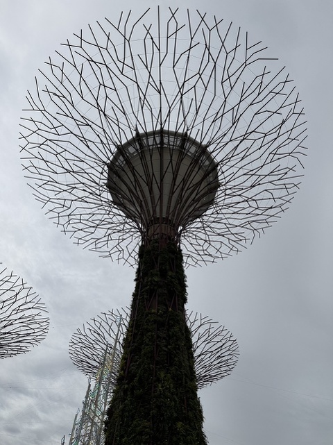 Gardens by the Bay