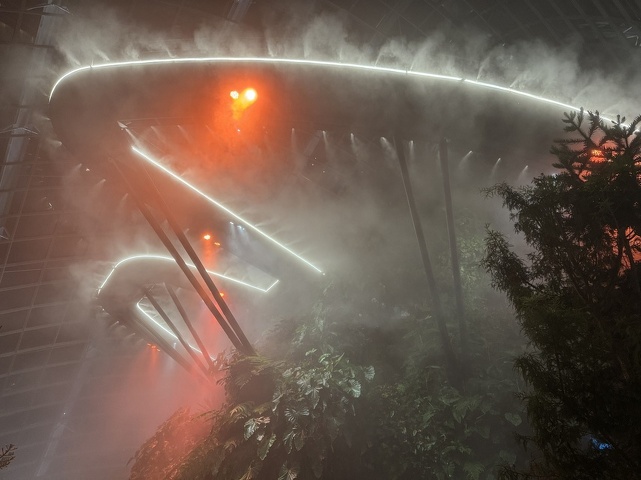 aliens are landing (Cloud Forest)