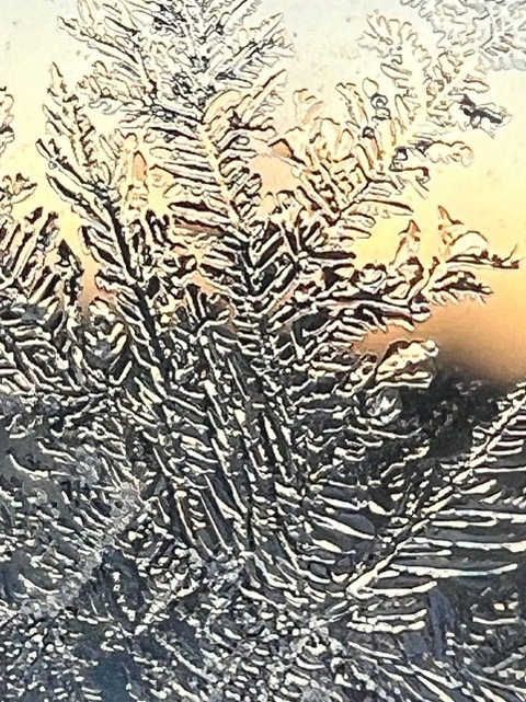 23485975-6ae3-4ed2-94bc-fd1bcf71b962
